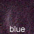 blue dog coat color