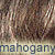 mahogany dog coat color