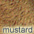 mustard dog coat color