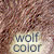 wolf color dog coat color