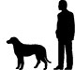 height of a rottweiler dog