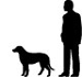 size of a Plotthound Greyhound mixed breed dog