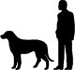 height of Murphy a vizsla hound mixed breed dog